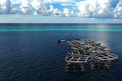 養(yǎng)殖網(wǎng)箱廣州中航