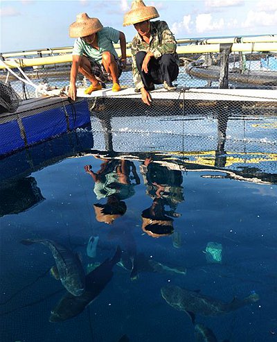 養(yǎng)殖網(wǎng)箱廣州中航 養(yǎng)殖網(wǎng)箱廣州中航